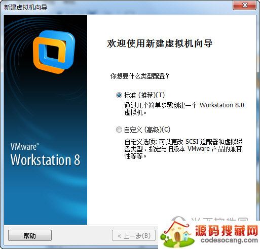 vmware workstation 8.0