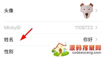聪明米奇改名字