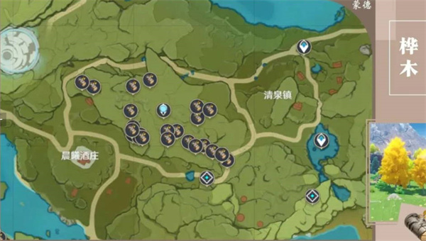 原神木材分布在哪里