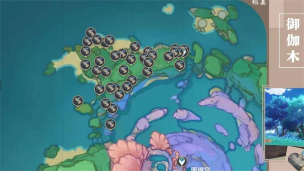 原神木材分布在哪里