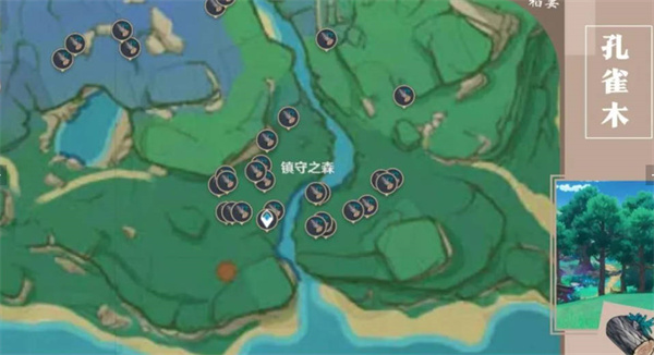 原神木材分布在哪里