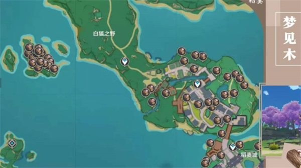 原神木材分布在哪里