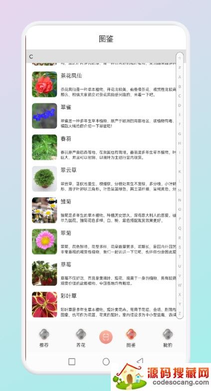 拍照识花草 拍照识花草