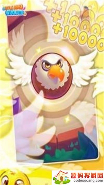 小鸟的进化 小鸟的进化