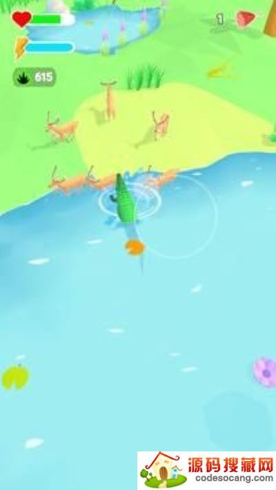 野生动物探险 野生动物探险