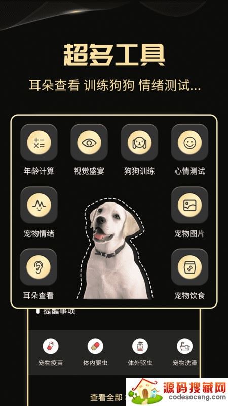 人狗交流神器 人狗交流神器