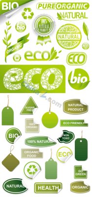 ��ɫ��̬��ǩʸ���ز�