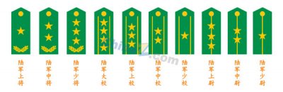 ½�����μ���ʸ���ز�