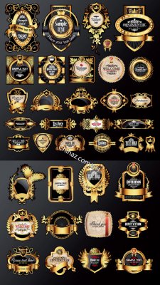 ŷʽ�ƽ��ǩʸ��ͼ����