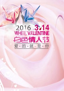 2016��ɫ���˽�PS����