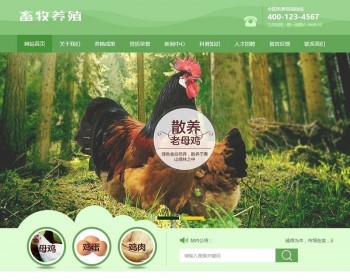 ֳվ֯dedecmsģ壨ֻˣ