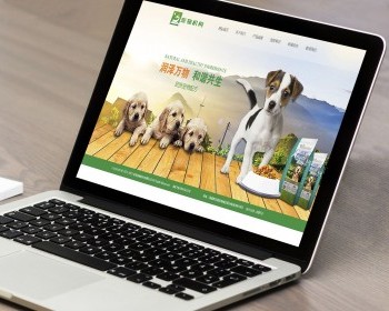 СС֯ ַ֯վģ壨ƶˣ