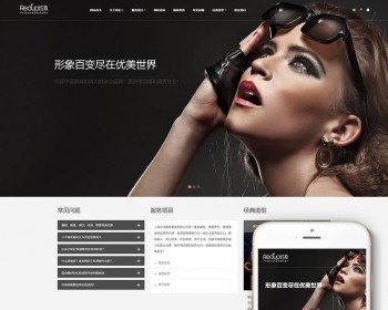 Ӧʽվ֯վģ壨Ӧʽƶˣ