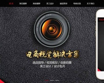 Ӧʽվװ֯վģ壨Ӧʽƶˣ