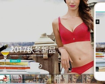 Ӧʽվ·ηװ֯վģ壨Ӧʽƶˣ