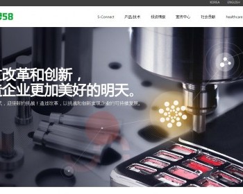 ӦʽվӦʽֻվ֯վģ