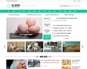 ٿѶַ֯վģ壨ƶˣṹӹ̰