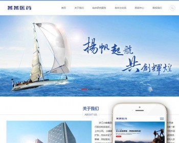 Ӧʽվҽҩѧٴʵַ֯վģ壨Ӧʽƶˣ