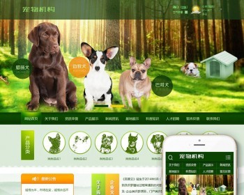 ɫȮַ֯֯վģ壨ƶˣ