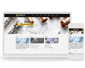 Ӧʽվ³ˮ۵֯վģֻ Ӧʽվģ