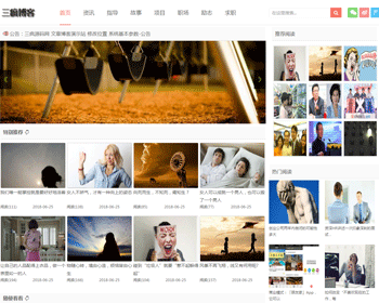 ѶվģӦʽվֻblogվģ֯cmsphp̨Ϣ