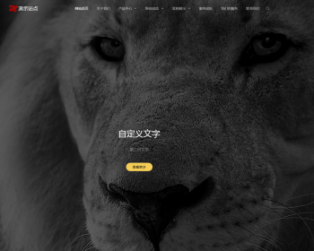 Ӧʽֻ׿棩ӦʽվƷƽվַ֯վģ HTML5ƴ⹫˾webվվԴ