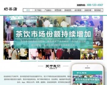 Ʒ֯վģ壨ƶˣ PC ֻ SEO