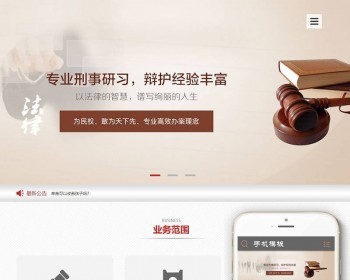 ṹӹ̰dede֯վģ壨ƶˣ