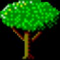 ǿQQũ V1.13 Ѱ