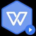WPS麣רҵ V1