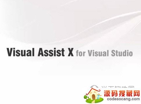 visual assist x2022