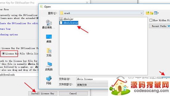 dbvisualizer 12补丁